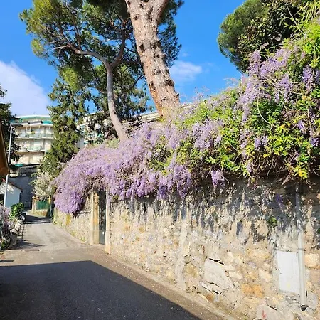 Marina Apartamento *